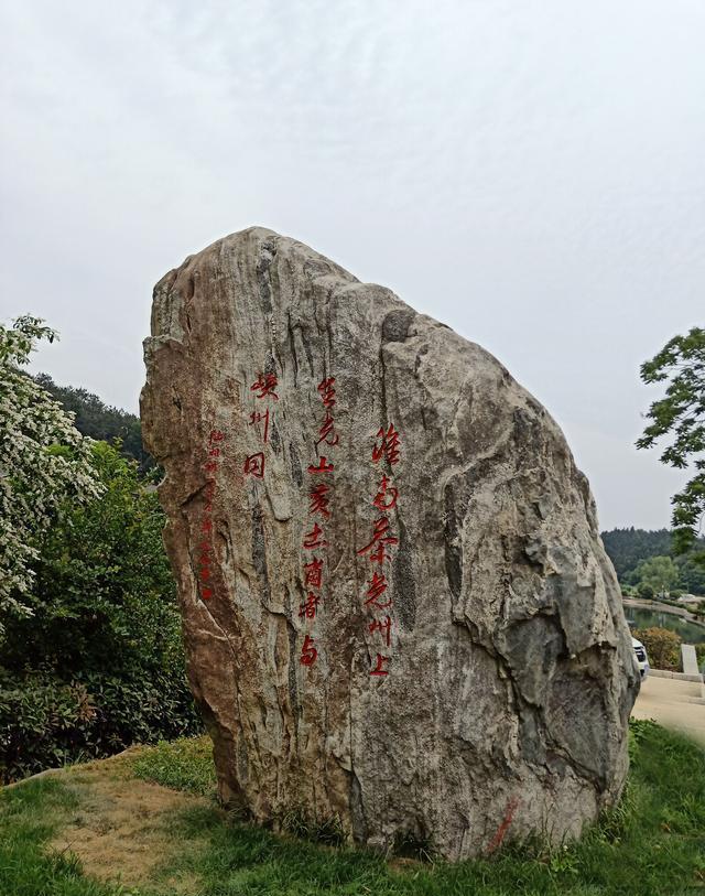 光山_司馬光_油茶