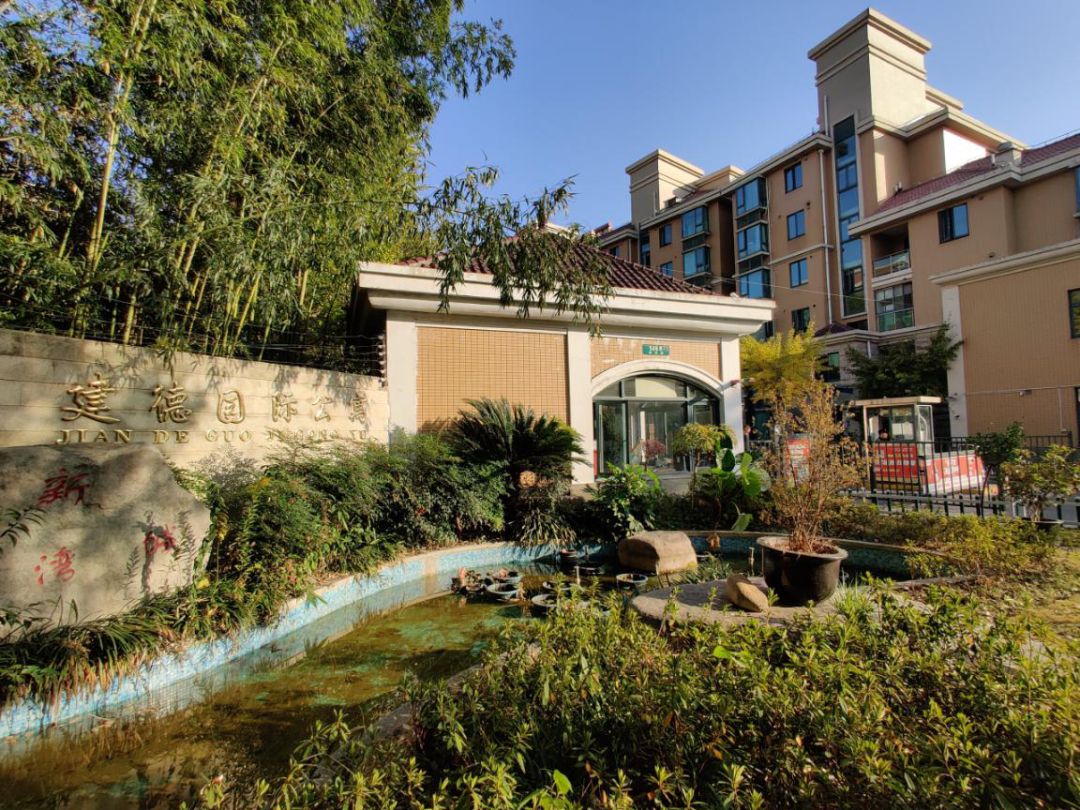 新江湾板块满足品质又想读名校的家庭首选建德国际公寓测评