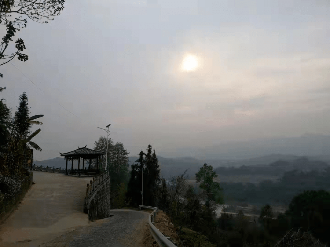 汉坝寨|【蒲川十二景】之白鹭家园——龙朝汉坝寨