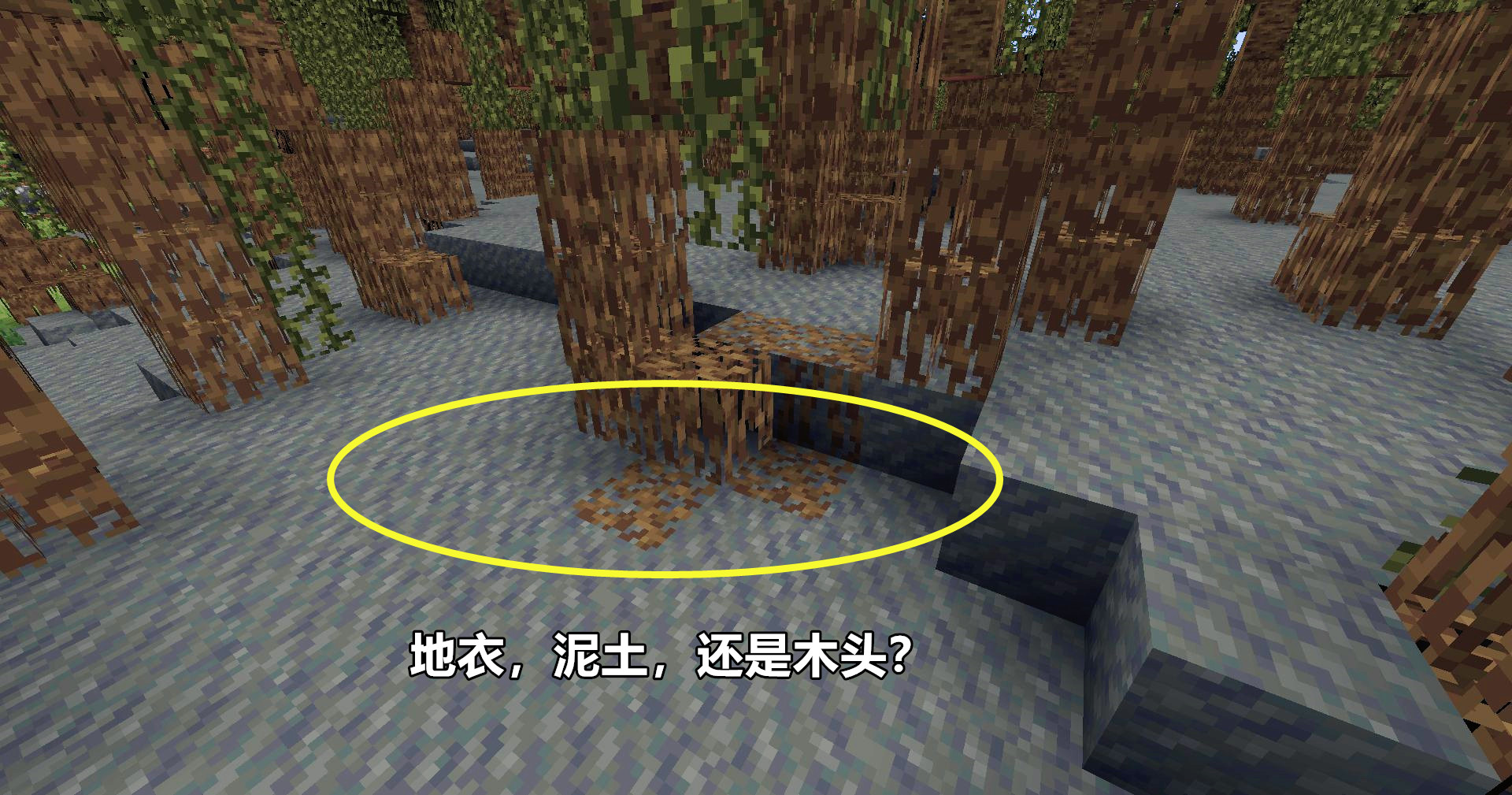 Minecraft 1 19 更多細節爆料 沼澤紅樹 深黯之域 獵跡守衛 良品联社女性美容时尚经验分享专业平台