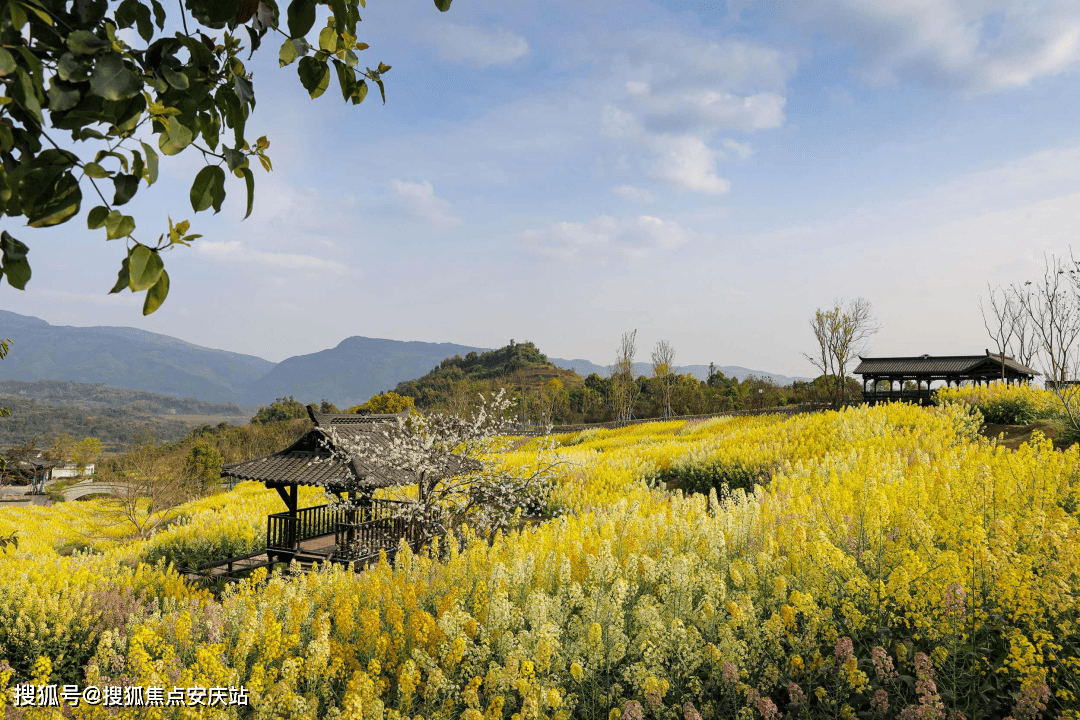 78重慶藍城兩江田園牧歌