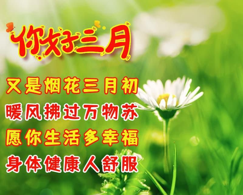 三月祝福语图片大全图片