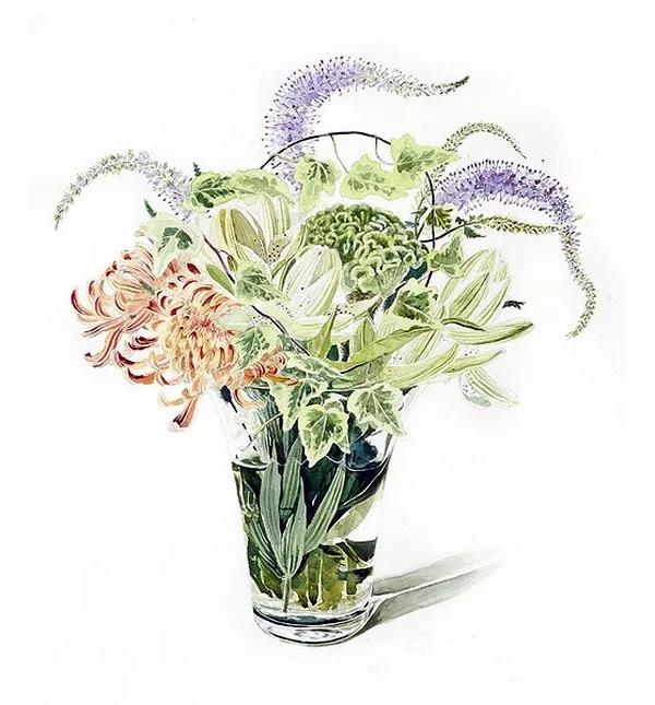 日本柘植彩子ayako Tsuge的花卉静物水彩画作品 艺术 Tsuge Ayako