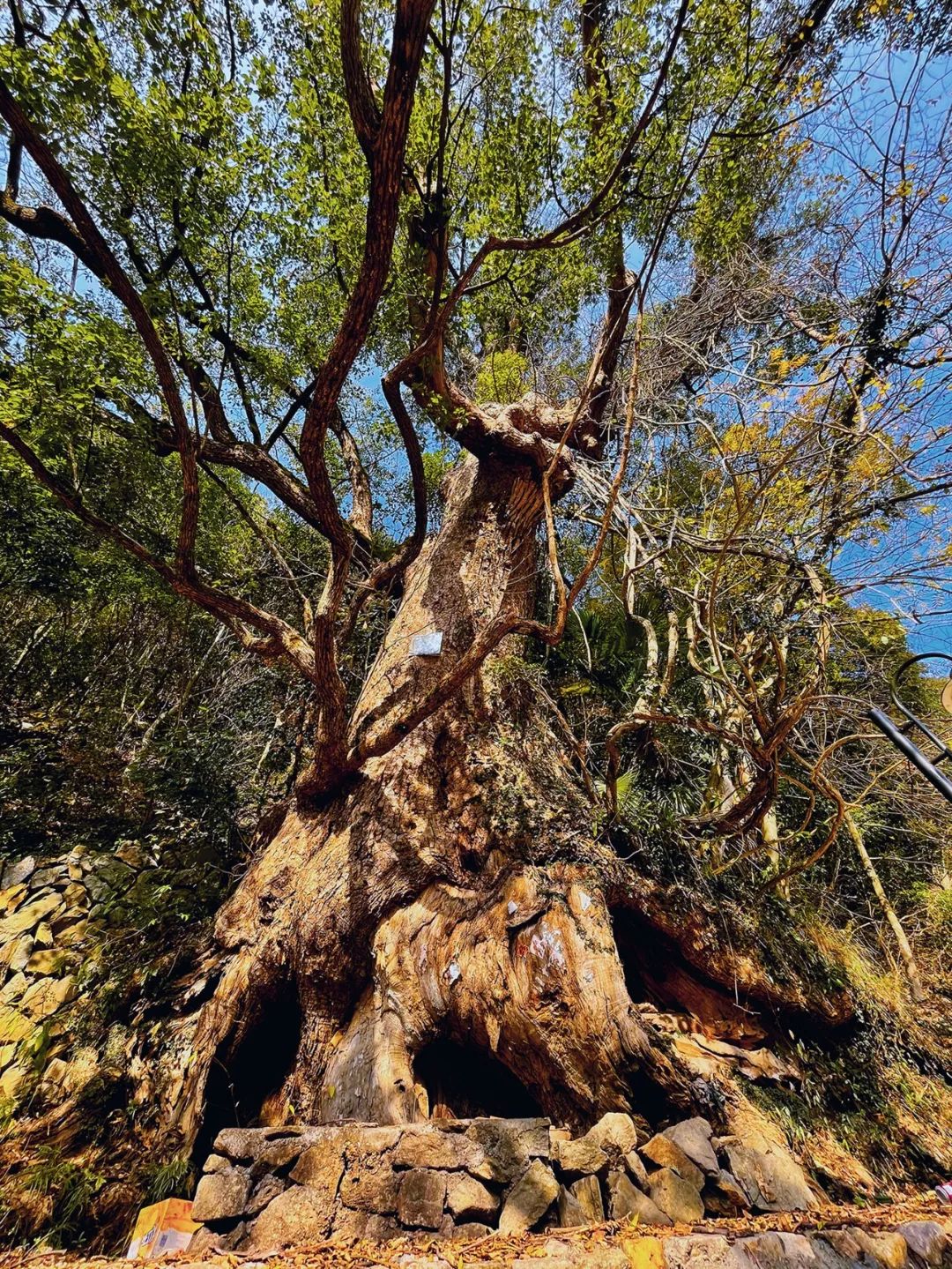 江南|浙江最没存在感的地区，很多人音都读不对，却是这样的江南秘境