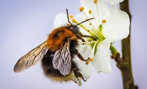 2月末尾 桃花醉人 浓情蜜意 旧爱惦念 锁定真心 幸福一生 建议 单身 生活