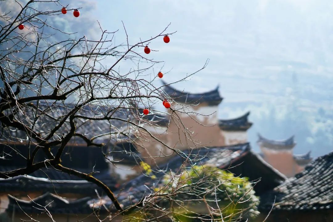 江南|浙江最没存在感的地区，很多人音都读不对，却是这样的江南秘境