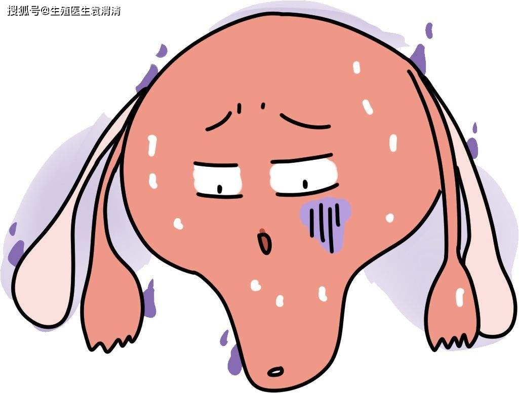 单角子宫试管成功率高吗