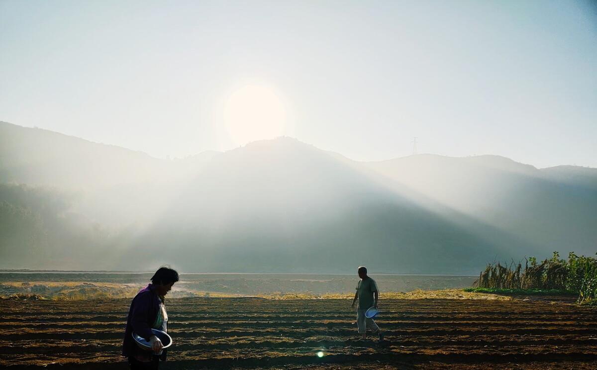 张末|张艺谋之女：从小最恨巩俐，离婚后回到父亲怀抱，如今成大导演