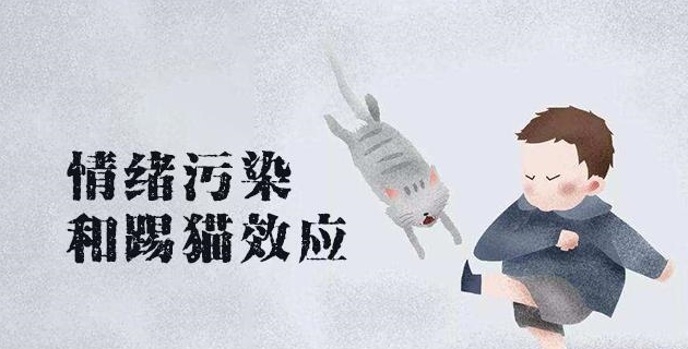 踢猫效应是什么 a501b7b09f5d4452b7212cde62d126a3.jpeg