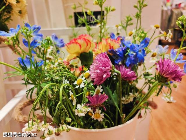 实测|实测OPPO Find X5 Pro出真知，一部简单、高效、好用的色彩影像旗舰