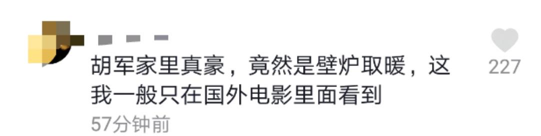 进行|胡军带儿女罕见出镜，12岁康康仍有霸道总裁范，豪宅装修豪华带壁炉