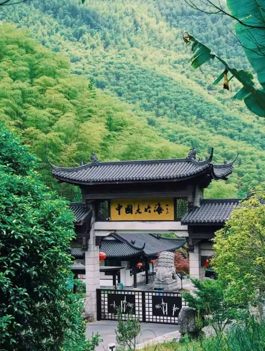 春日拍照圣地安吉大竹海景区竟隐藏了这么多热门打卡点