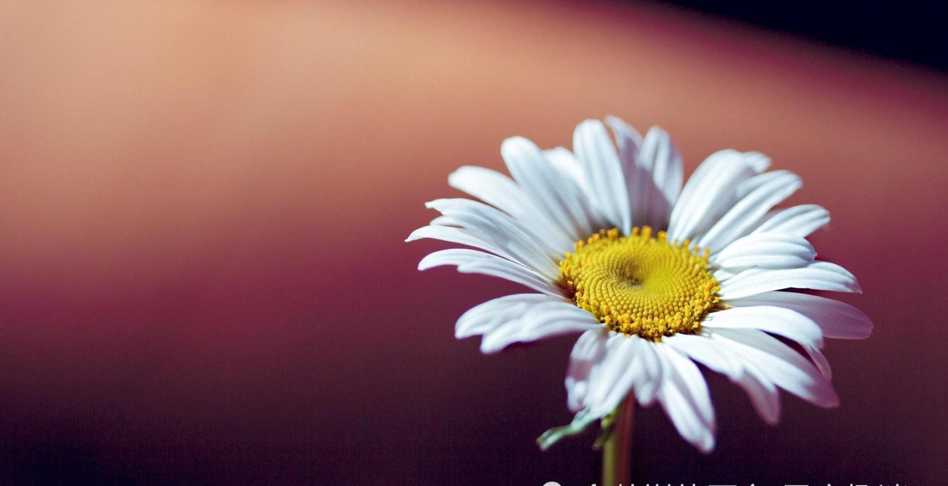 3月6日星座运势 一举多得 攻守俱佳的四大星座 工作 方面 事情