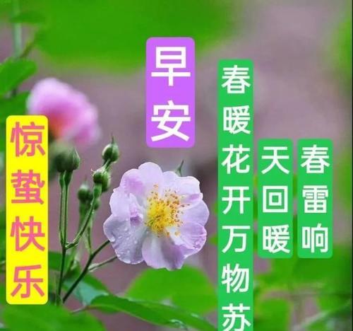 5e98d16587c5409182aba0956bcab567.jpeg
