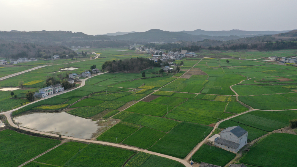 阡陌良田图片