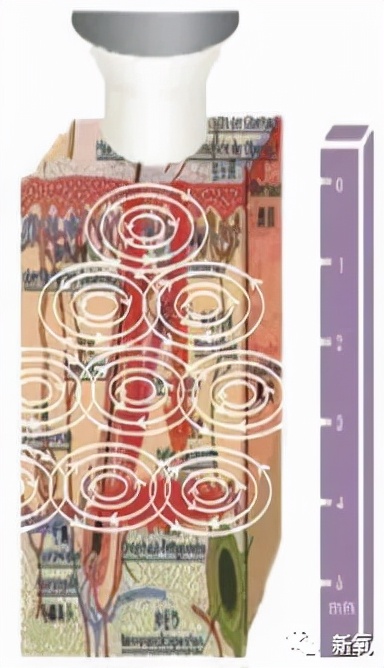 性敏感感受到春天来的幸福了吗？还是换季过敏在家不敢出门？