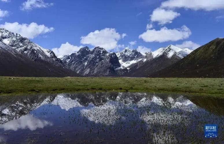 重磅 中国正式建立国家公园 5个地方入选 国家公园有啥意义 保护 建设 脊椎动物