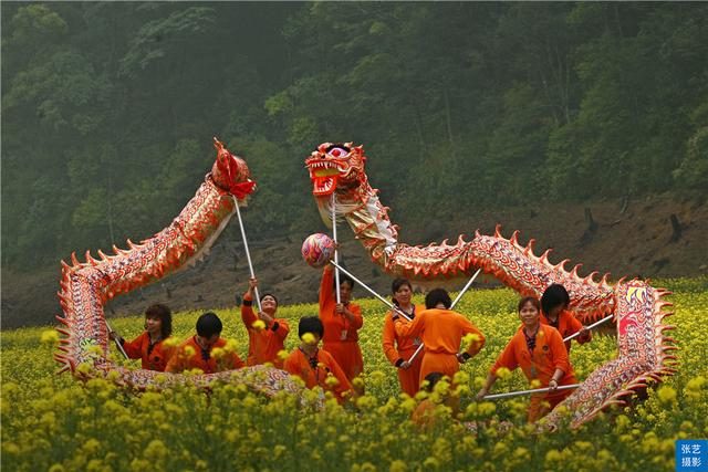 油菜花|阳春三月，广东石门油菜花田乡村美，春天赏花拍照踏青好去处