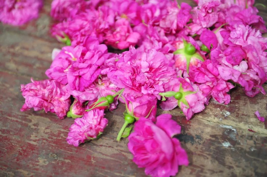 传统滴！最懂女人的推送请查收！