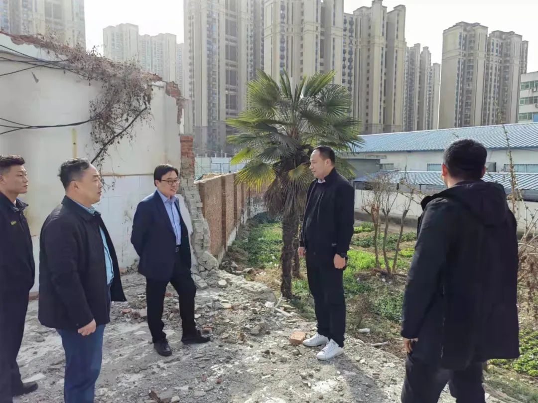 区委书记袁钢带队,实地指导游园绿化提升2月以来,宛城区五里堡街道