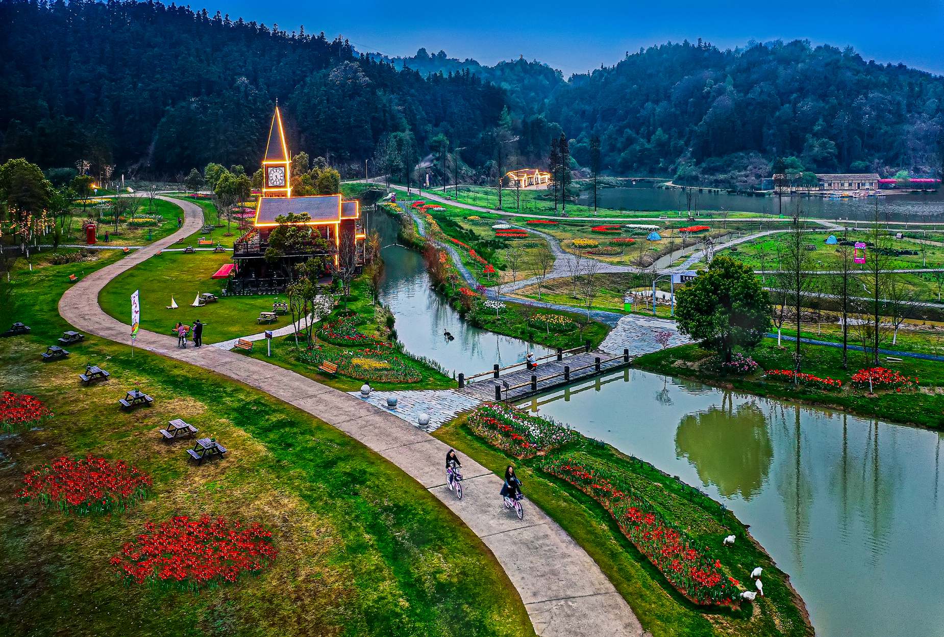 数字经济促美丽绽放南昌市第五届郁金香花展在先锋小镇举行