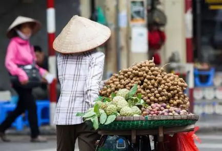 帽子 出国工作去越南才知道什么是帽子文化？