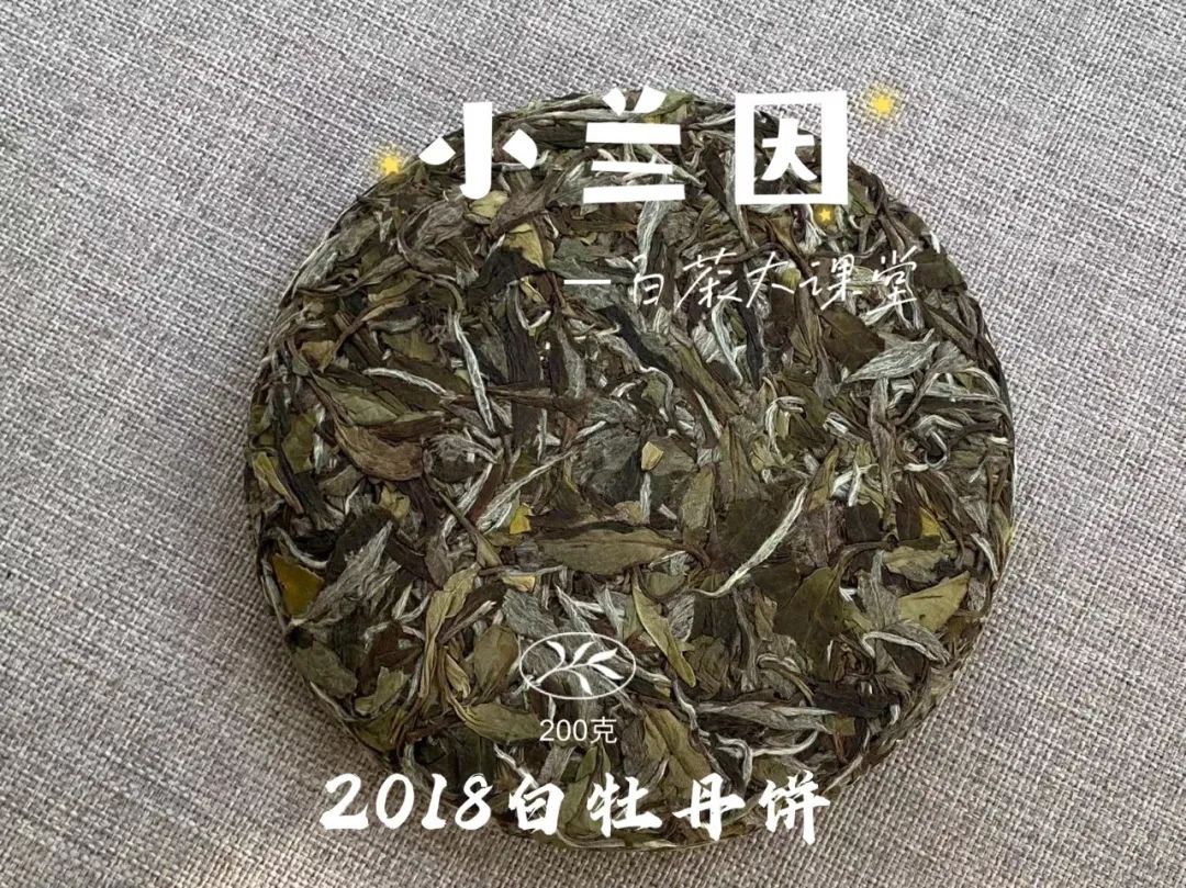 因为|盖碗冲泡白茶饼，“闷泡”和“快出水”二选一，你会选哪个？