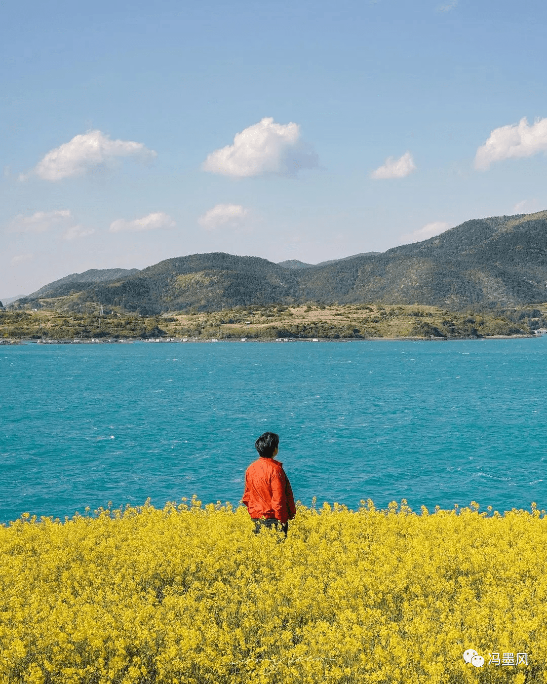 时间 超全的油菜花拍照攻略，一起打卡春天的明黄色吧~