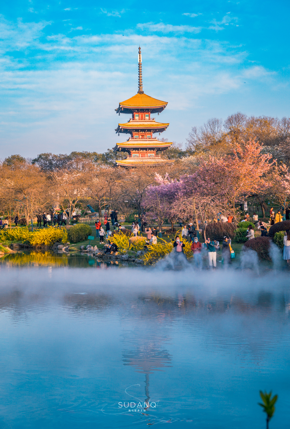 全国赏樱胜地图片