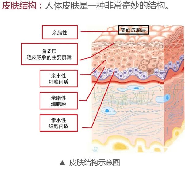 面部|所有女生注意！新抗衰好物分享——心辰玻尿酸是什么 真香定律告诉你