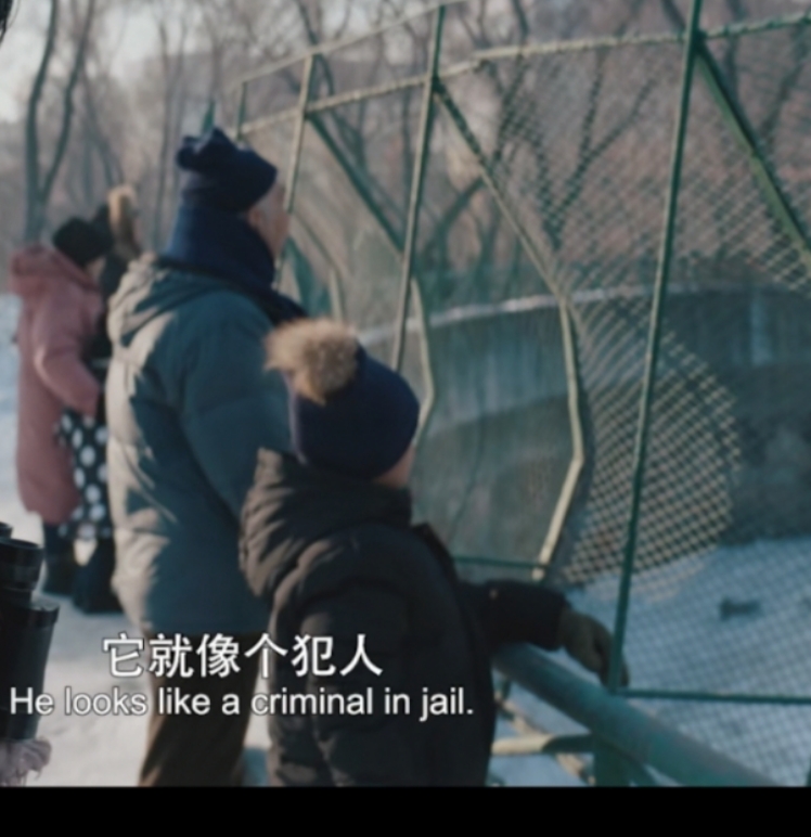 亲戚|从《我不是药神》里“黄毛”，到《东北虎》的渣男徐东，章宇到底经历了什么？