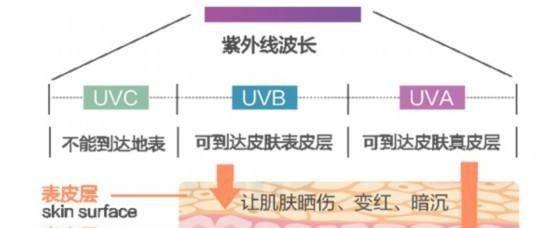 紫外线“很少吃水果，天天吃泡面”，为什么女生的皮肤还能这么好？