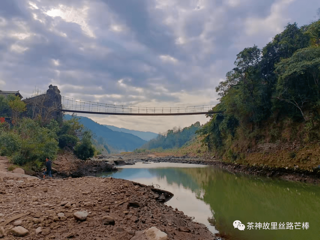 灯笼|腾冲龙江桥畔杜鹃红