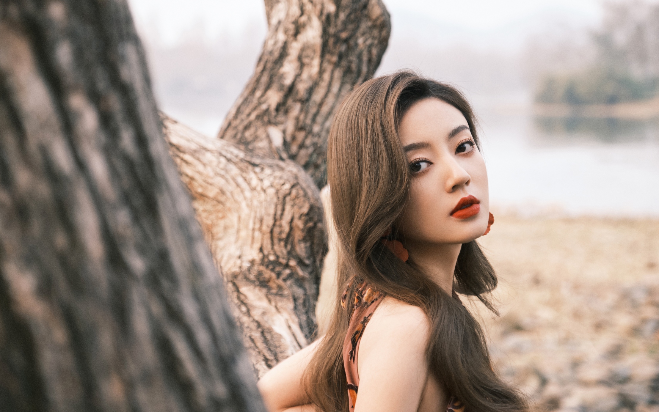 原创唐人街探案2正式启动徐正溪携手何瑞贤刘昊然重磅加盟