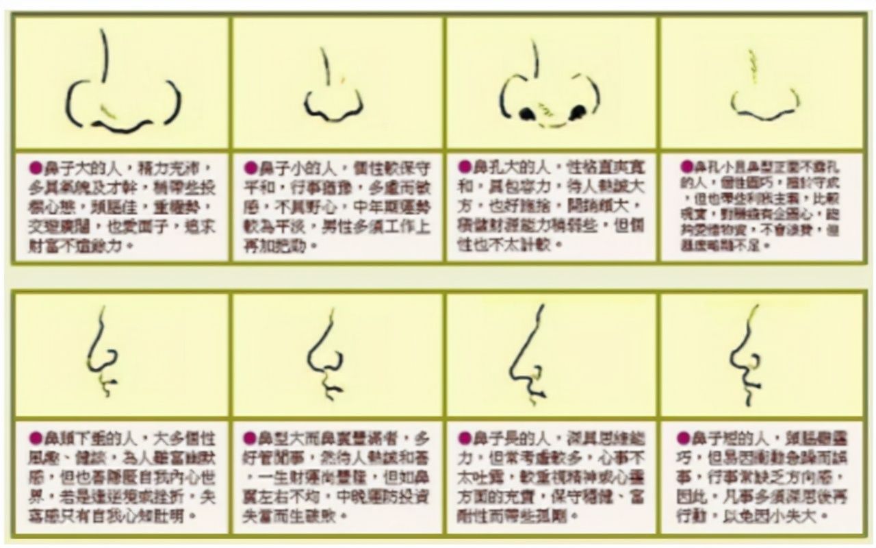 大头公母鼻子分辨图图片