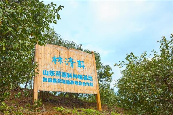 红山林清轩优选红山茶，铸造品质壁垒，强大科研力量打造国货高端品牌