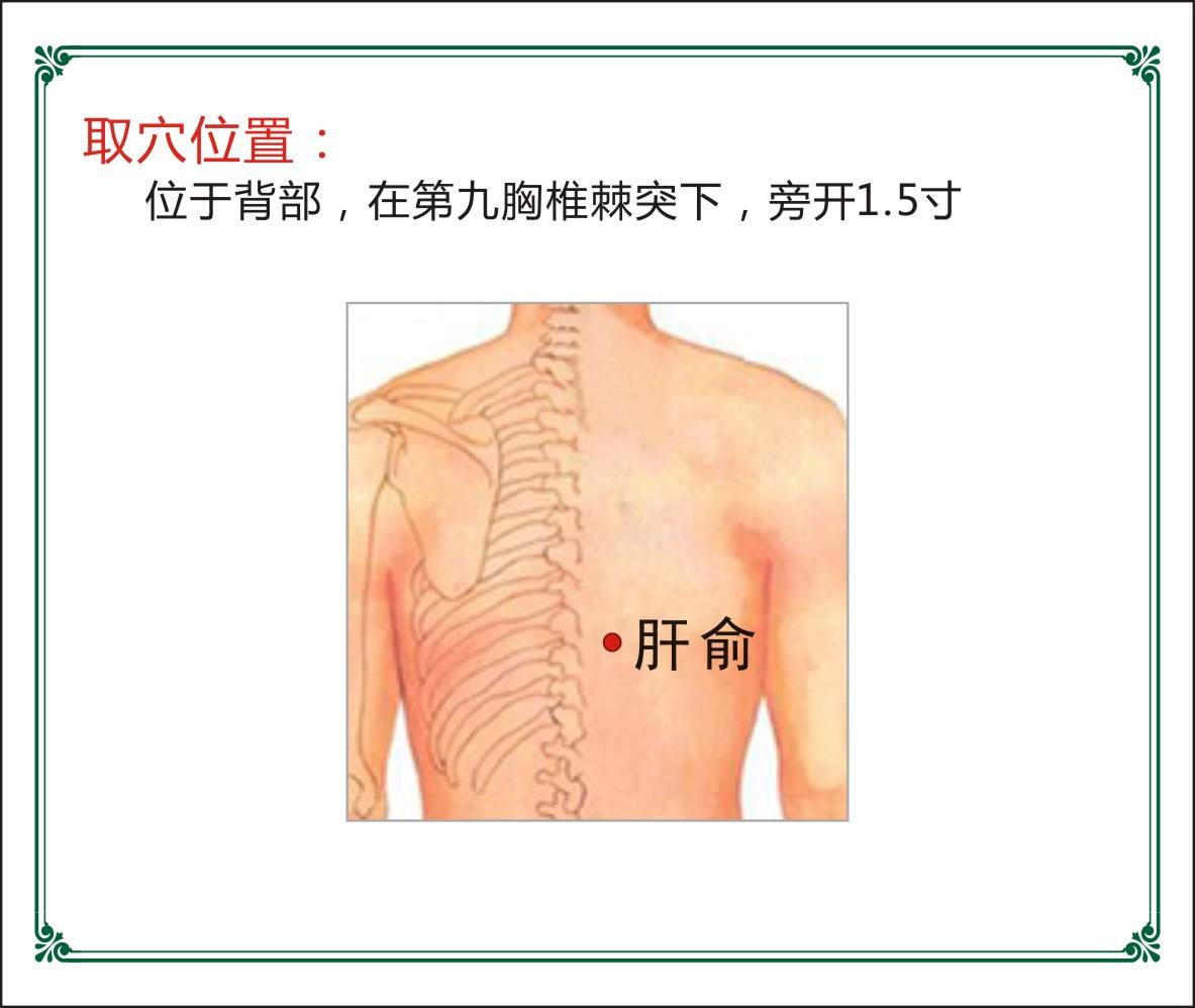 肝俞准确位置图和作用图片