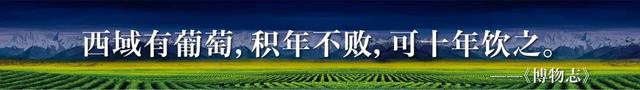 广场|坚守“为民服务”初心丨和硕人民政府携手旭辉广场打造乌市首个葡萄酒品鉴基地