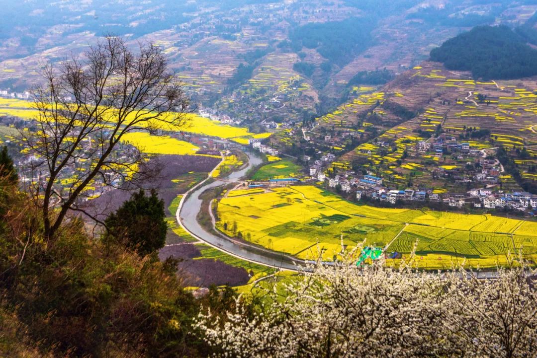 白芷山,清朝贵州著名诗人梁宗鲁出生地;中国方竹笋之乡,大娄山方竹之