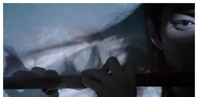 魏无羡|陈情令：王灵娇那么在意自己的容貌，为何临死前划花了自己的脸？