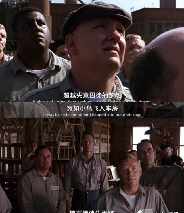 Red|肖申克的救赎什么样的人能够逆风翻盘？