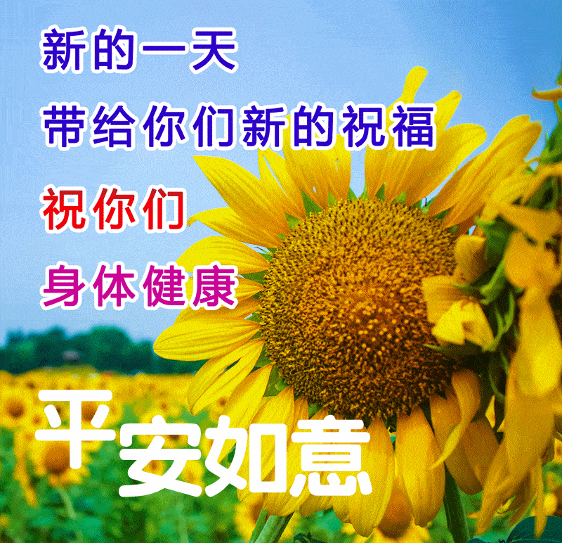 早安问候祝福心语送上愿你幸福健康每一天