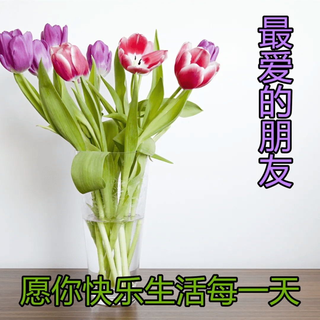 唯美温馨的早上好动态表情包 新的一天早安祝福陪伴的动态图片_亲爱的