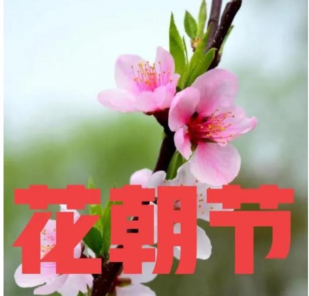 今天二月十二 花朝节 记住这个传统 22年花开富贵 吉祥如意 赏红 花神 生活