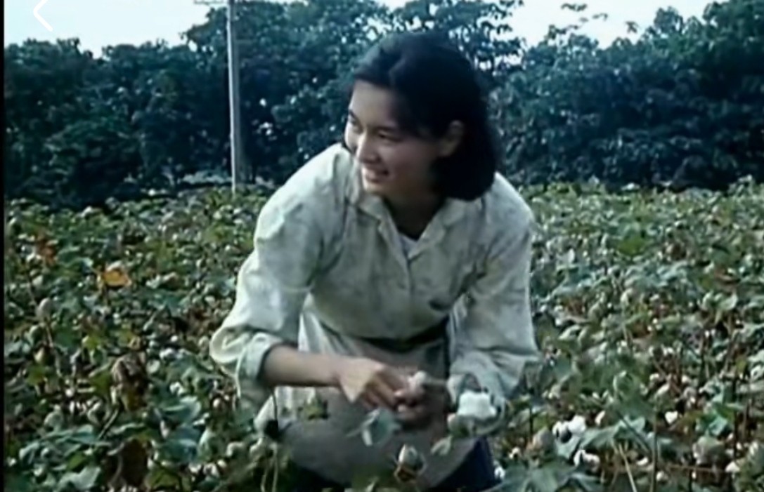 美国|80年代当红女星殷亭如,爆红时远走美国,62岁客死异乡?