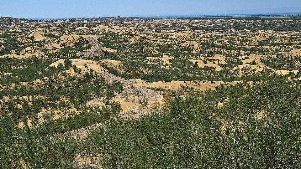 原创中国治沙近百年沙漠面积缩小了多少说出来你可能不信