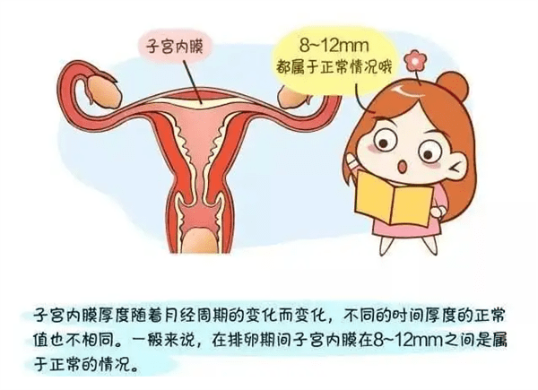 内膜薄在备孕时需要注意哪些事项呢?