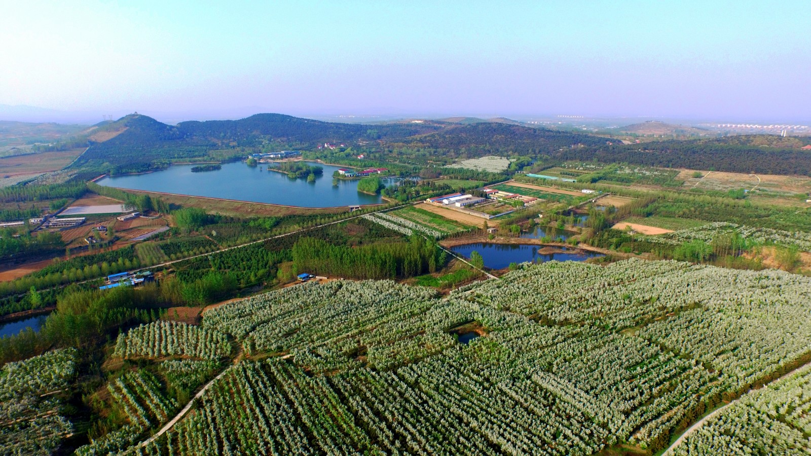 品牌农业赋能乡村振兴_生产_半程镇_产业