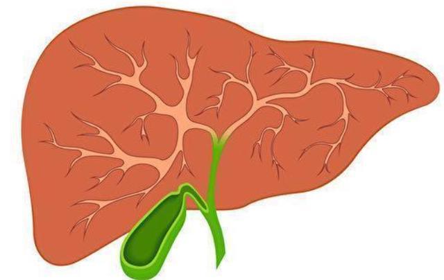 肝脏|肝脏“解毒王”或已公布，没事吃两口，或能清肝毒，不妨提前了解