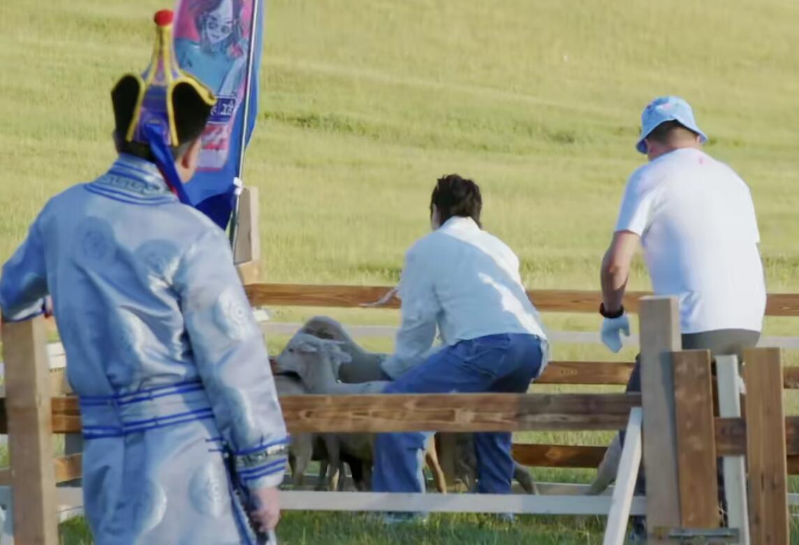 bug|张鹤伦分高却输了，其实一是因为郭麒麟，二是团综有bug需要调整！！